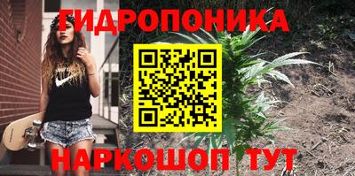 трава Абинск