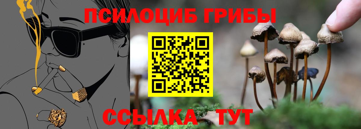 Галлюциногенные грибы GOLDEN TEACHER Абинск